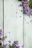 Lilacs on a wooden background