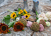 Schnittblumen am Boden: Sonnenblumen (Helianthus) und Hortensien (Hydrangea)