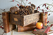 Wooden crate with pine cones and rose hips