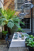 Set table in the courtyard, tree fern in the background