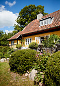 Sonniger Garten mit Buchs, im Hintergrund gelbes Haus
