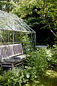 Wooden bench and glass greenhouse in an overgrown garden