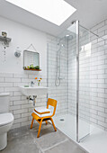Monochrome bathroom with shower stall