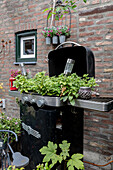 An old barbecue grill used as a planter in front of a brick wall