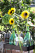 Bouquet of sunflowers and poppy capsules in milk cans