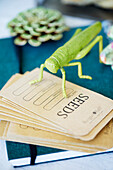 Seed packets and grasshopper ornament