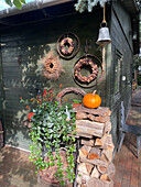 Autumnal decoration in a garden with a pumpkin, autumnal flowers and a wreath of nuts