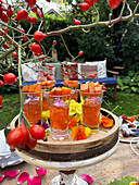 Tea jelly with pumpkin and rosehip on autumnal table in the garden