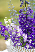 Blühender Rittersporn (Delphinium) im geflochtenen Korb