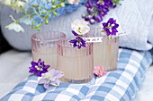 Lemonade in glasses with delphinium flowers (Delphinium)