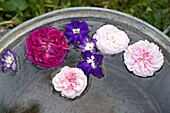 Delphinium flowers and rose petals as floating decoration in a zinc tub