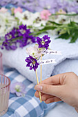 Holzstäbchen mit Rittersporn-Blüten und beschrifteten Schildchen in der Hand