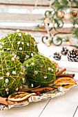 DIY moss ball with pearl garland