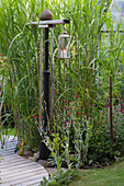 Hanging candle lantern surrounded by Chinese reeds in the garden