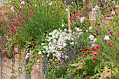 A colourfully planted raised bed