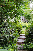 Stepping stones along the garden path with Asian touches