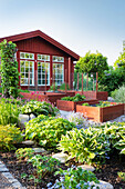 Red raised garden beds in front of a red painted wooden house