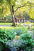 Perennial bed with spring flowers
