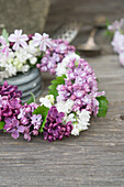 Wreath of lilac blossoms