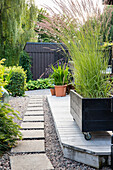Planter box on wheels planted with riding grass (Calamagrostis), on a terrace