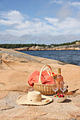 Picnic basket on the coast; wine and strawberries
