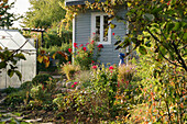 Allotment garden in autumn with garden house and greenhouse