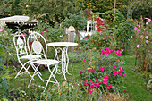 Seat in a near-natural allotment garden with roses and cosmea