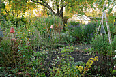 An autumnal atmosphere in a garden with a greenhouse