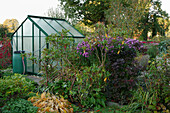 A greenhouse in an autumnal allotment garden