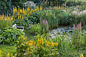 Perennial garden with a bench by garden pond, Germany