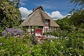 Cottage garden with a covered bench in the seating area in front of a historic half-timbered house in Ulsnis, Schleswig-Holstein, Germany