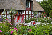 Gartenidylle, Bauerngarten vor historischem Fachwerkhaus in Ulsnis, Schleswig-Holstein, Deutschland