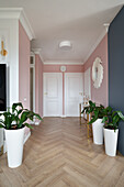 Zimmerpflanzen im Flurbereich mit rosa Wänden und weißen Türen