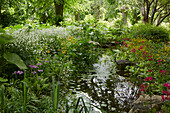 brook running through a mountain garden in Hanover, Lower Saxony, Germany