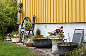 Vintage Töpfe mit Frühlingsblumen bepflanzt am Haus entlang