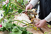 Tie a bouquet of bulbous plants in spring