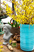 Forsythia branches (Forsythia) in a blue vase and a bust as patio decoration