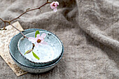 Knorriger Zweig mit Magnolienblüte auf altem Brief und Wolldecke