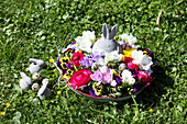 Blumenschale mit Osterhase auf dem Rasen