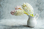 Hyacinths (Hyacinthus) in white ceramic jug