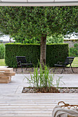 Wooden terrace with integrated planting, chairs in front of hedge in the background