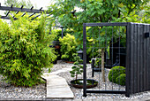 Moderner Garten mit Kiesplatz, Bambus und schwarzer Sichtschutzwand