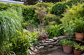 Garten mit Steinmauer und üppiger Bepflanzung