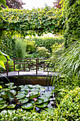 Pond with water lilies and small bridge in a lush garden