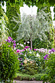 Blühender bunter Garten in sommerlicher Pracht