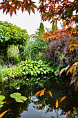 Garden pond with koi fish, surrounded by a variety of plants