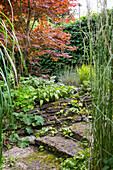 Garden path with stone slabs and autumnal deciduous shrubs