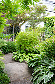 Garden path with lush planting such as hosta and maple