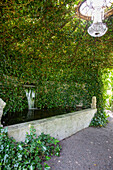 Fountain surrounded by ivy walls with chandelier