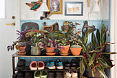 Shoe rack with houseplants